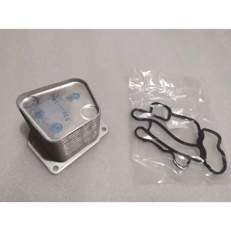 OEM Quality D19TCI Diesel 1.9T Engine Oil Cooler For Dongfeng D19 D19TCI 1set