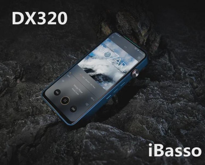 Hot Selling IBasso DX320 HIFI Android Audiophile Player Decoding DSD AMP12 AMP13 AMP14
