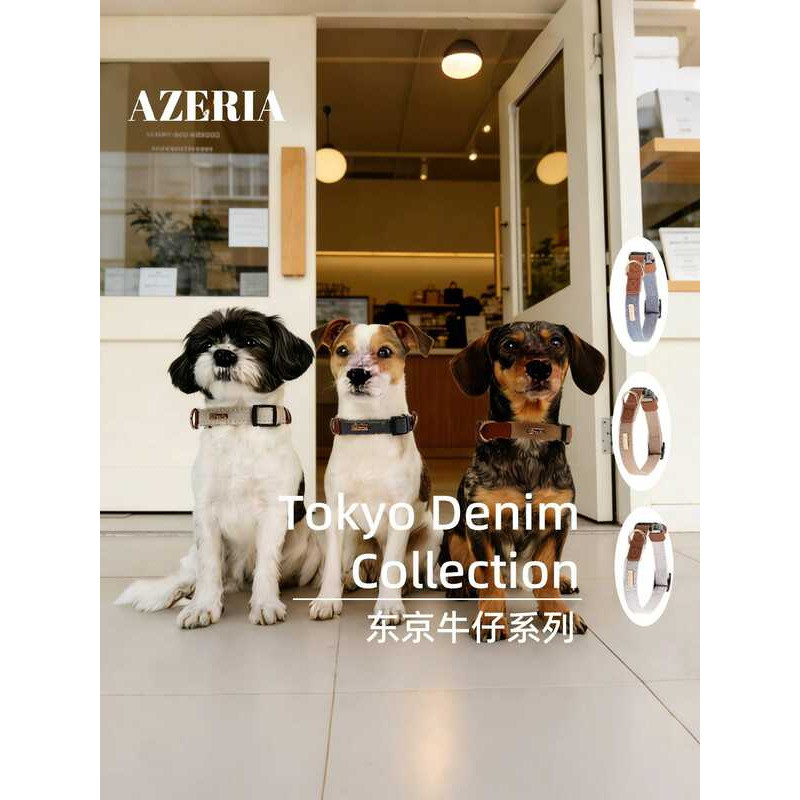 AZERIA สัตว์เลี้ยงสุนัขเขียนได้ Denim COLLAR สุนัขขนาดเล็ก Anti-Lost Safety Anti-Strangle Teddy Coll