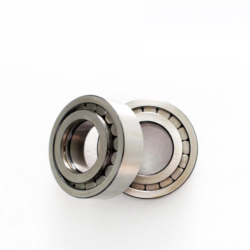 China Supplier hydraulic piston pump parts Rexroth A2FO107/A2FM107/A2FE107 (BIG+SMALL）BEARING