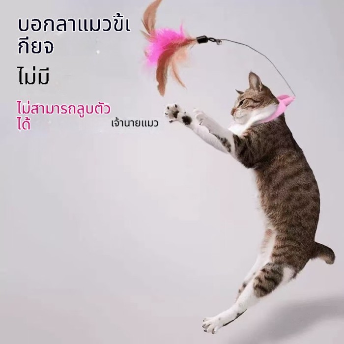 Cat Self-Entertainment Self-Entertainment Liberation Master Hands Teasing Cat Collar Interactive Str