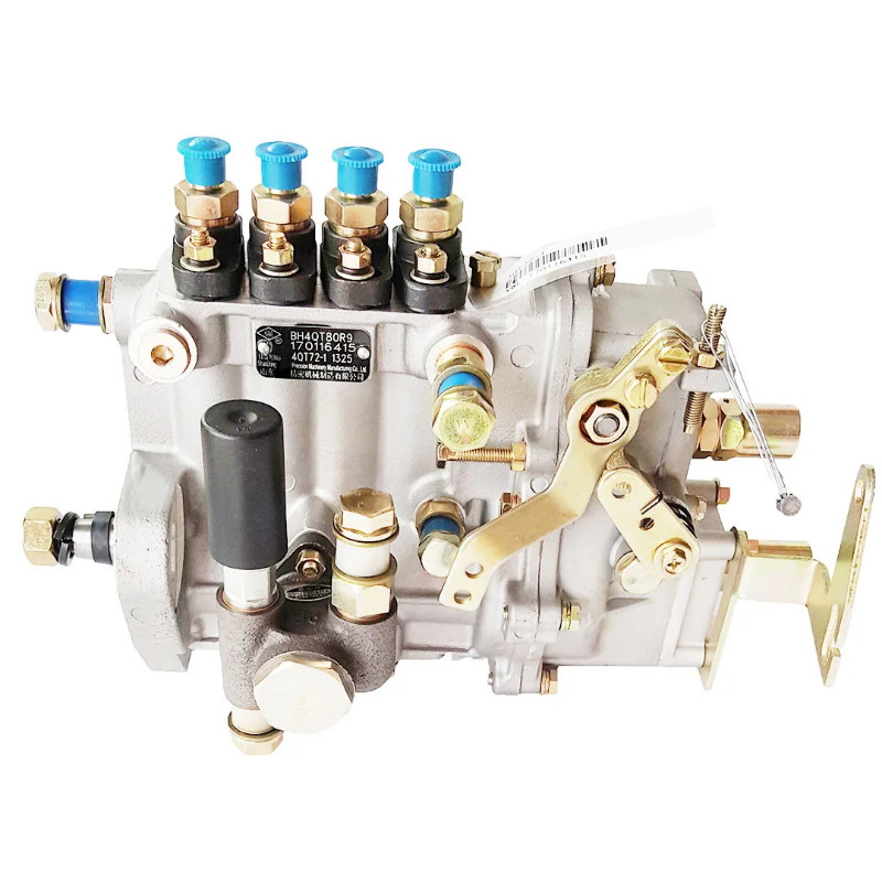 Fuel Injection Pump BH4QT80R9 4QT194 2409002110006 BH4Q80R8 4Q167Z-1 BH4Q90R9 4QTF176
