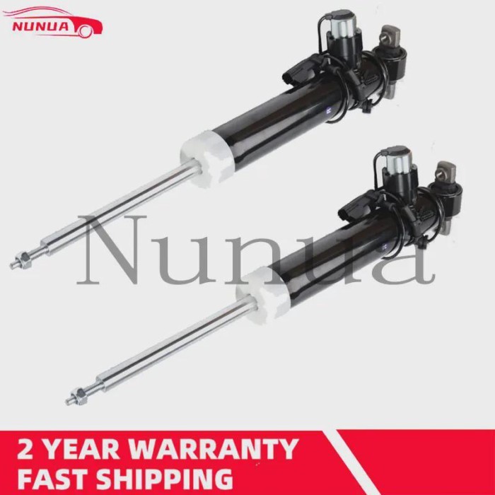 Rear R/L Shock Absorber Strut w/ Electric For Lincoln MKX 2016-2018 ASH-85911 F2GZ18125G F2GZ18125Y