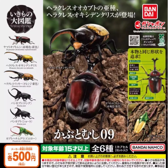 พร้อมสต็อก Bandai Biological Big Illustrated Book Beetle 9 Capsule Toy Unicorn Big Beetle