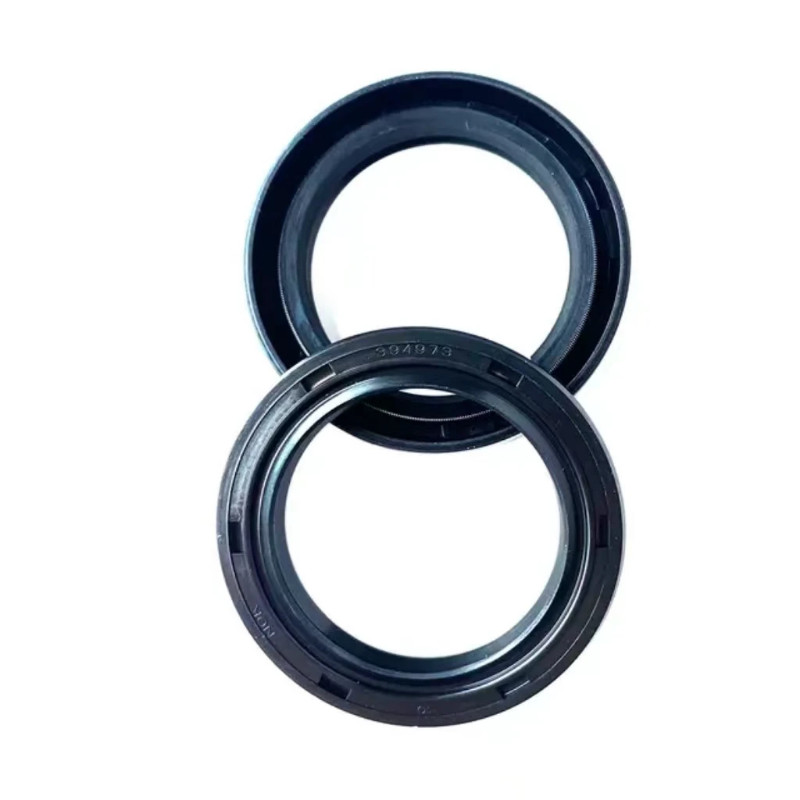 Oil pump motor high-pressure skeleton oil seal Hydraulic Pump Oil Seals 394973 394974 394976 232855
