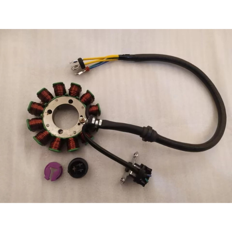 Engine Motor Coil Stator Magneto Coil For Kayo AU200 Loncin ATV200  ATV200-M-S-AU200 LX200M LX200AU