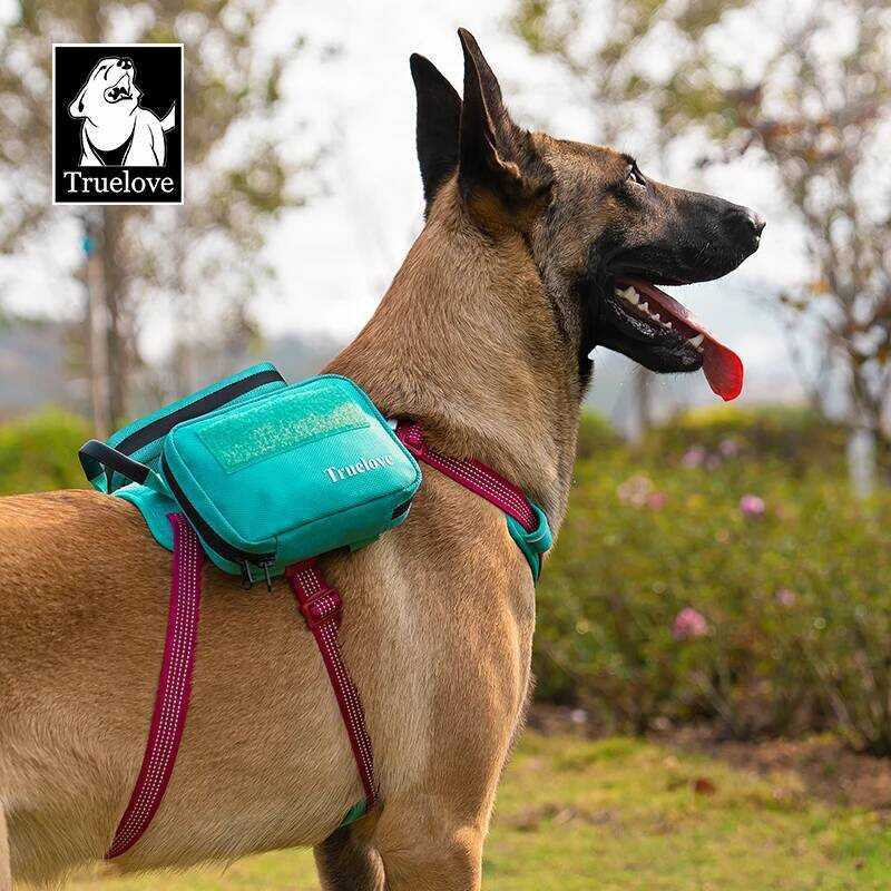 C TRUELOVE Pet Hook&Loop Tlb3011 Harness Accessory Pouch 600D Encrypted Oxford Fabric Extra Large C