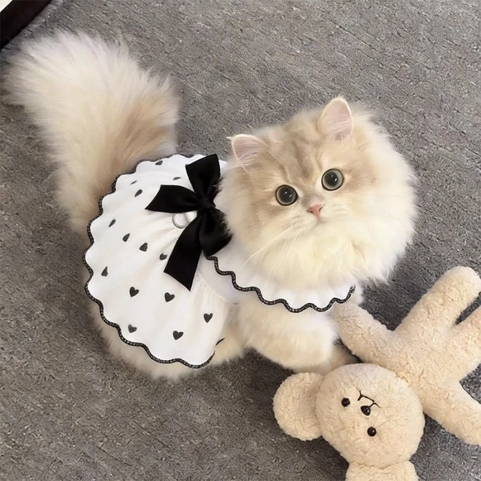 [คลังสินค้าพร้อม] Cat Summer Breathable Anti-Lint Thin Cute Skirt 0.5-6.5kg thumbnail 9