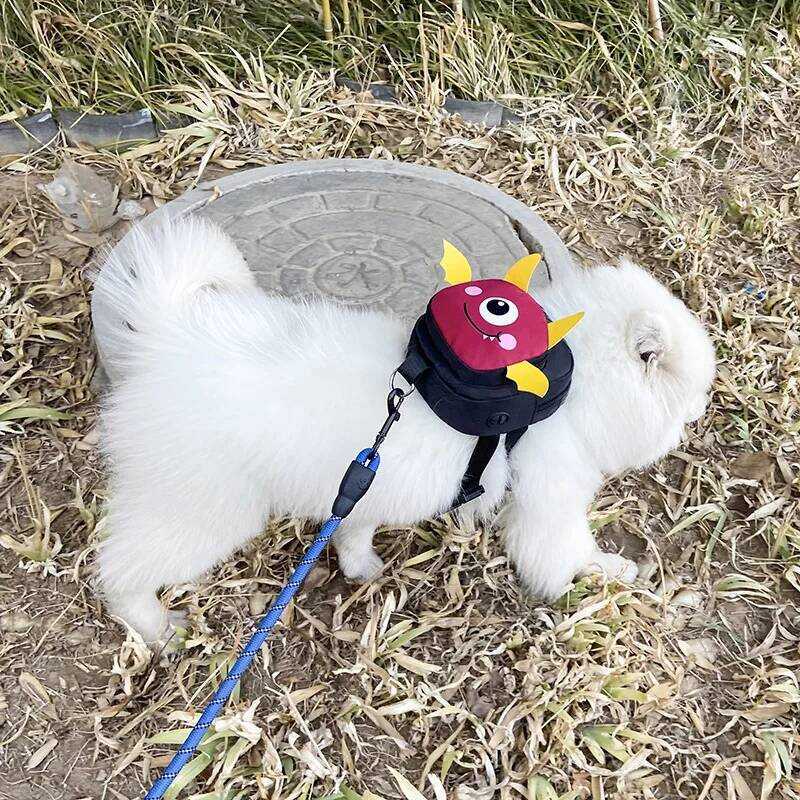 C Pet Backpack Dog Self-Backpack Travel Dog Walking Snack Can Hang Leash Dog