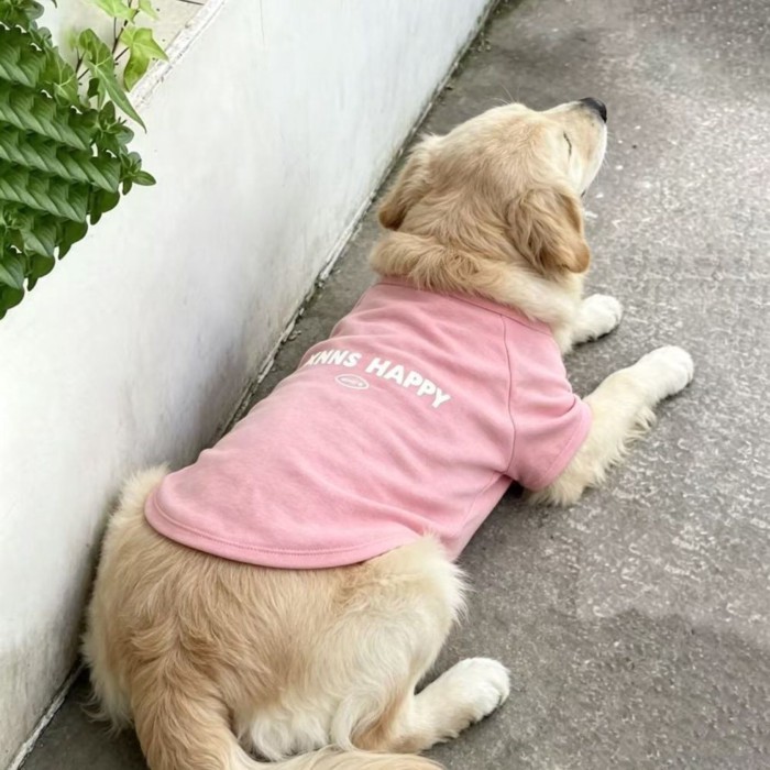 [คลังสินค้าพร้อม ข้อเสนอพิเศษ] เสื้อผ้าสุนัขใหญ่สุนัขขนาดกลางขนาดใหญ่บางสไตล์แฟชั่นเสื้อผ้าน่ารัก