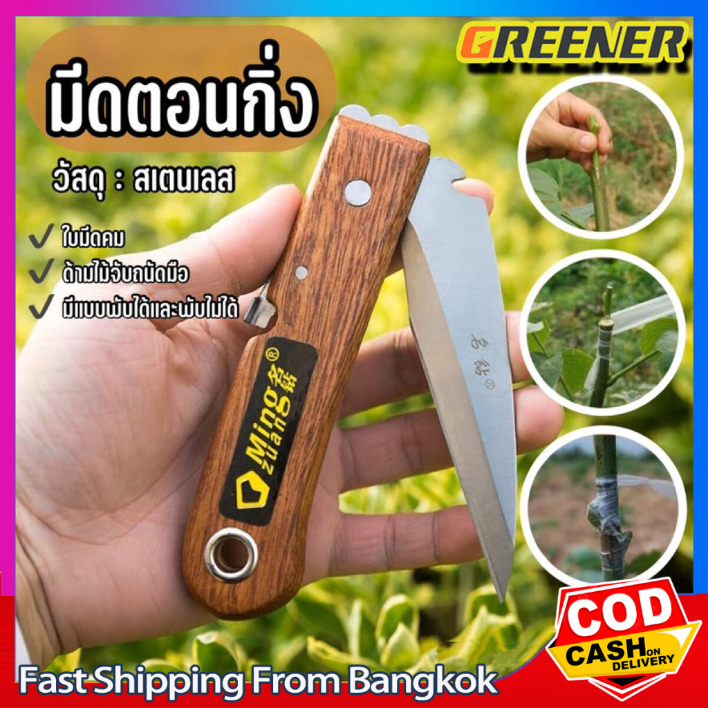 Greener มีดตอนกิ่ง ติดตา ชำกิ่ง ขนาด 7.5 - 8 นิ้ว ม้วน วัสดุทำจากใบมีดสแตนเลส ปลายแหลม คม