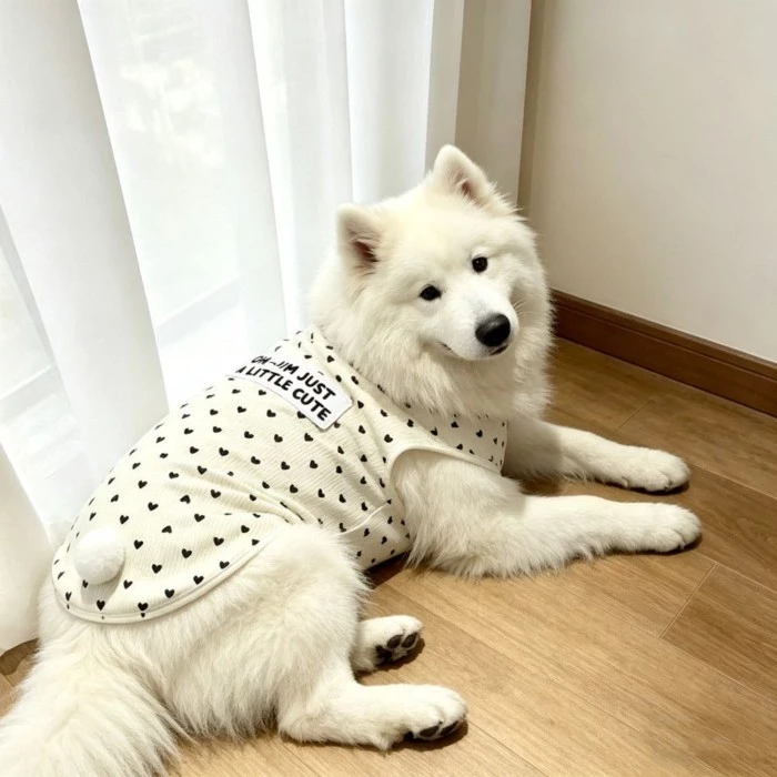 [คลังสินค้าพร้อม ข้อเสนอพิเศษ] เสื้อผ้าสัตว์เลี้ยงฤดูร้อนเสื้อกั๊กสุนัขใหญ่น่ารัก thumbnail 3