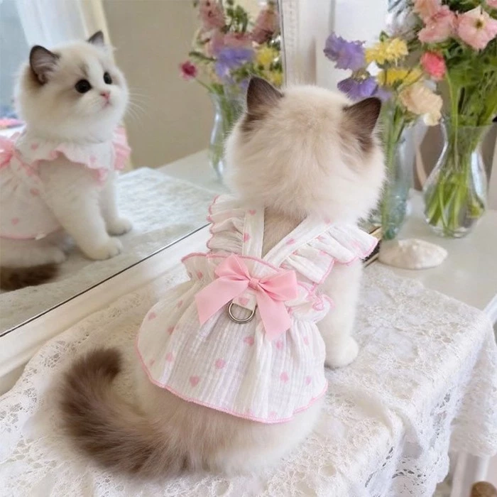 [คลังสินค้าพร้อม] Cat Summer Breathable Anti-Lint Thin Cute Skirt 0.5-6.5kg thumbnail 4