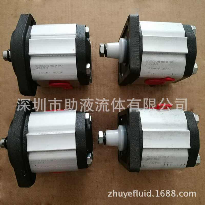 อิตาลี MARZOCCHI Micro Gear Pump AI0.25-36