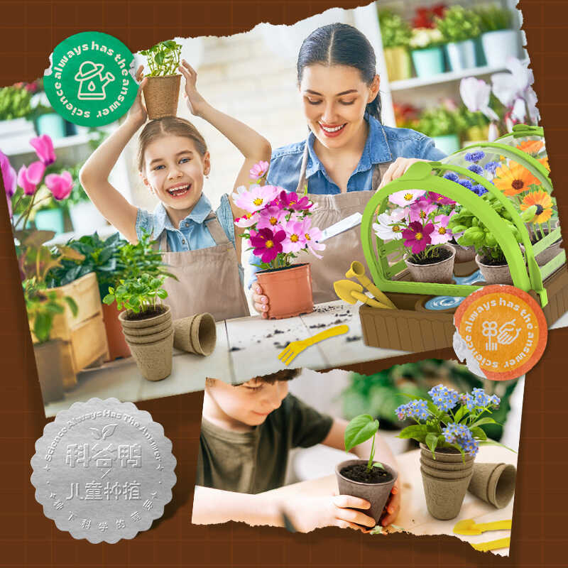 Callplay Callplay callplay Mini Farm เด็กปลูก Sunshine Room กระถางต้นไม้นักเรียนชั้นประถมศึกษาพืช Gr