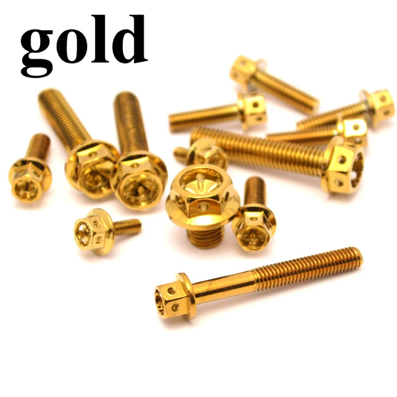 M6 Stainless Steel 304 Screw Electroplated Gold Screw Hexagon Screw Big Head Screw Electric Car Mot