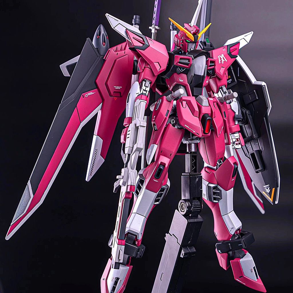 MG HG Freedom Strike Freedom Buster Gundam Unicorn Bandai ประกอบโมเดล