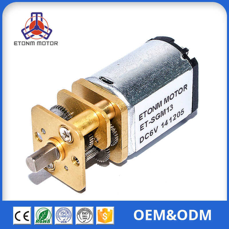 Safe Motor Beauty Equipment Motor Gear Motor DC Small Motor ET-SGM13 6v