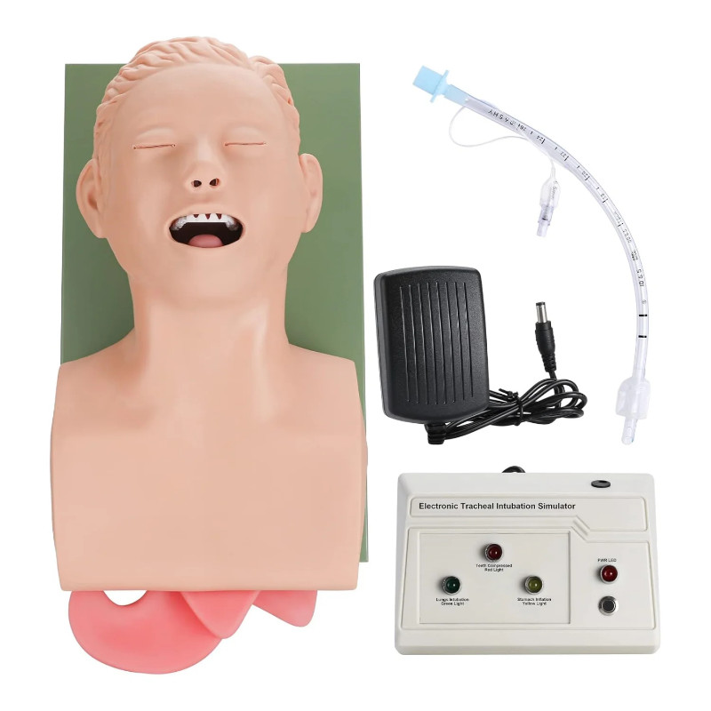 220V 110V Adult Airway Management Trainer Tracheal Intubation Training Simulator Model Airway Manag