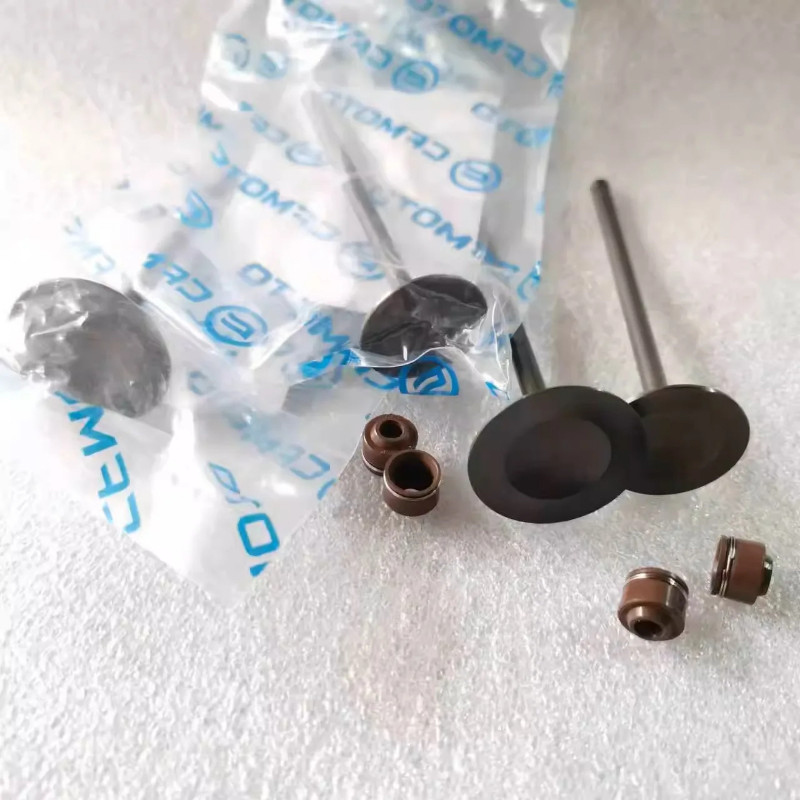Original MOTORCYCLE VALVE KIT INTAKE 2 + EXHAUSE 2 + VALVE SEALS 4 for CFMOTO 250SR 250NK 250CL-X N