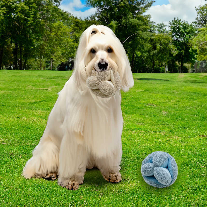 สินค้าใหม่ Snuffle Ball Nasal Congestion Ball สัตว์เลี้ยงสุนัข Chew bb Barking เสียงของเล่นตุ๊กตาไม่