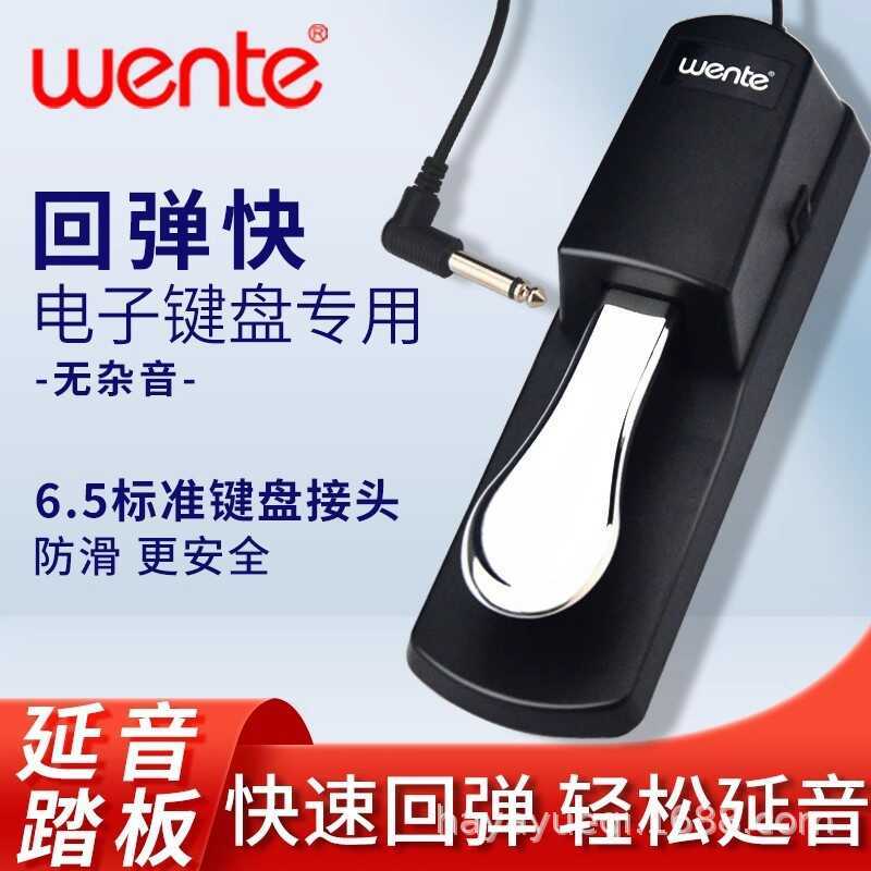 คีย์บอร์ดอิเล็กทรอนิกส์ Sustain Pedal Yamaha คีย์บอร์ดอิเล็กทรอนิกส์เท้าเหยียบ Roland เปียโนไฟฟ้า MI