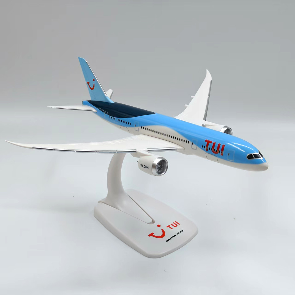 1: 250ตุย น่าเบื่อ787-8เย็บจําลองเครื่องบินรุ่นเครื่องบินคอลเลกชันแบบคงที่เครื่องบินสํานักงานตกแต่งอ