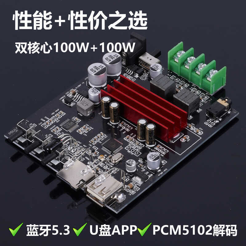 Wayliang PDV10 เครื่องขยายเสียงผลิตภัณฑ์สําเร็จรูปบอร์ด 5.3 บลูทูธ U Disk Lossless Player Home Deskt