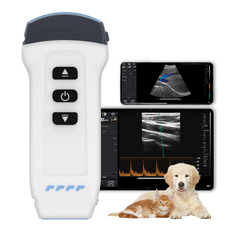 Wireless Color Doppler Veterinary Ultrasound Scanner 2in1 Convex & Linear Probe for Sheep Dog Cat P