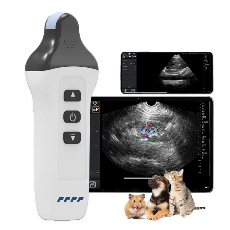 Color Doppler Wlan Ultrasound Scanner Wireless 6.0MHz Convex Probe Portable Veterinary Machine for