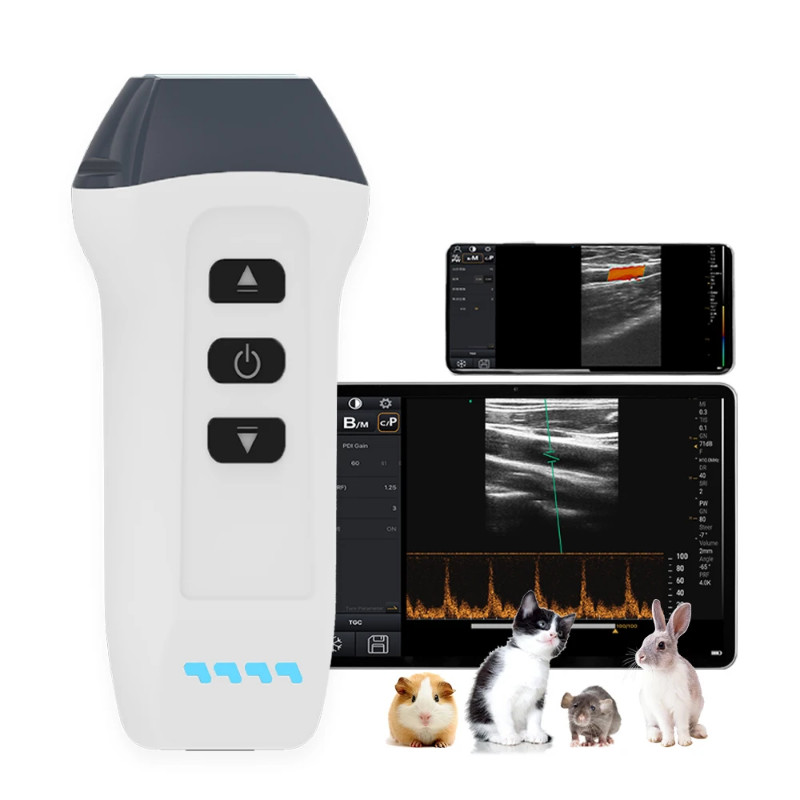 Color Doppler Wireless Scanner 10.0MHz Linear Probe Veterinary Ultrasound Machine for Guinea Pig Ra