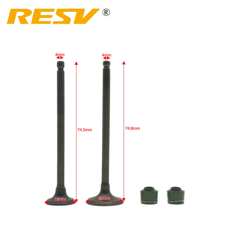 RESV for Suzuki LS50 FB50 GS50 LS FB GS 50 BIRDIE 50CC Valve Intake Exhaust Stem Valve Oil Seal