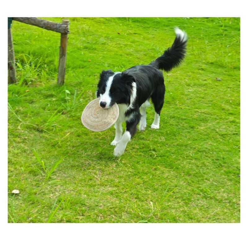 K K7C สุนัขกลางแจ้ง Interactive ทนต่อการสึกหรอ Frisbee สัตว์เลี้ยงของเล่น Jute วัสดุ Bite-Resistant 