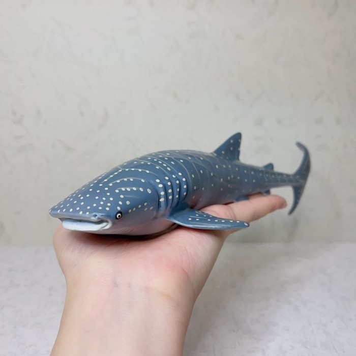 Safari Whale Shark Shark Tank ตกแต่ง Aquarium Ocean Certification จําลองสัตว์รุ่นเด็กความรู้ความเข้า