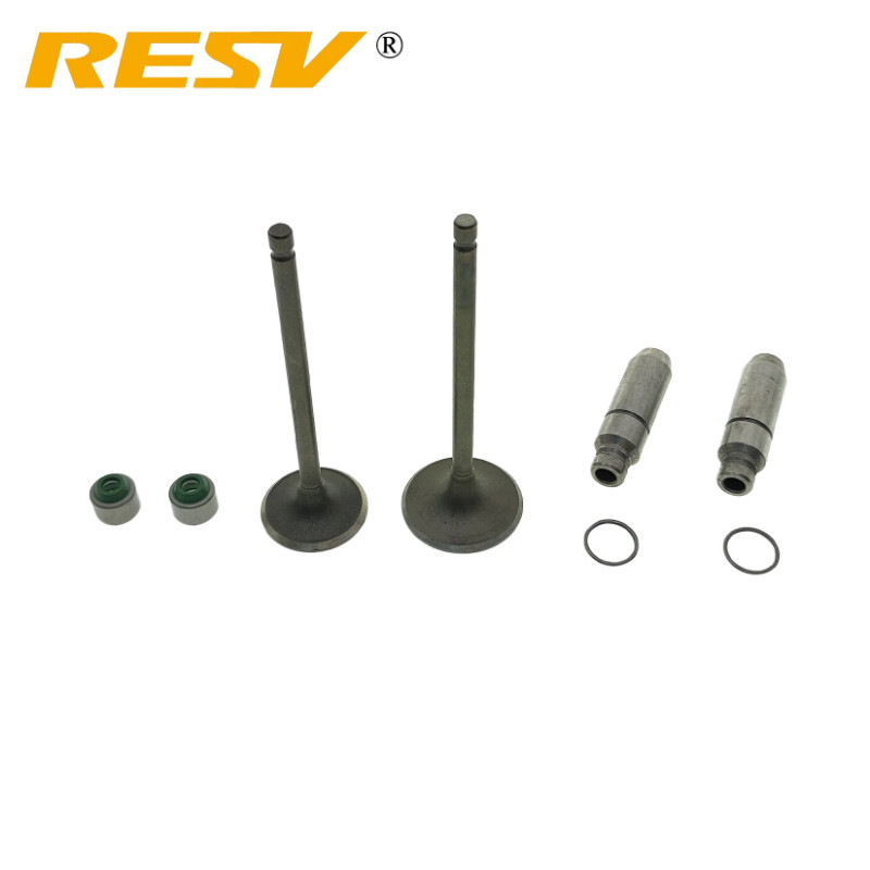 RESV for Bajaj Boxer CT150 CT 150 150CC Valve Intake Exhaust Stem Valve Guide Oil Seal