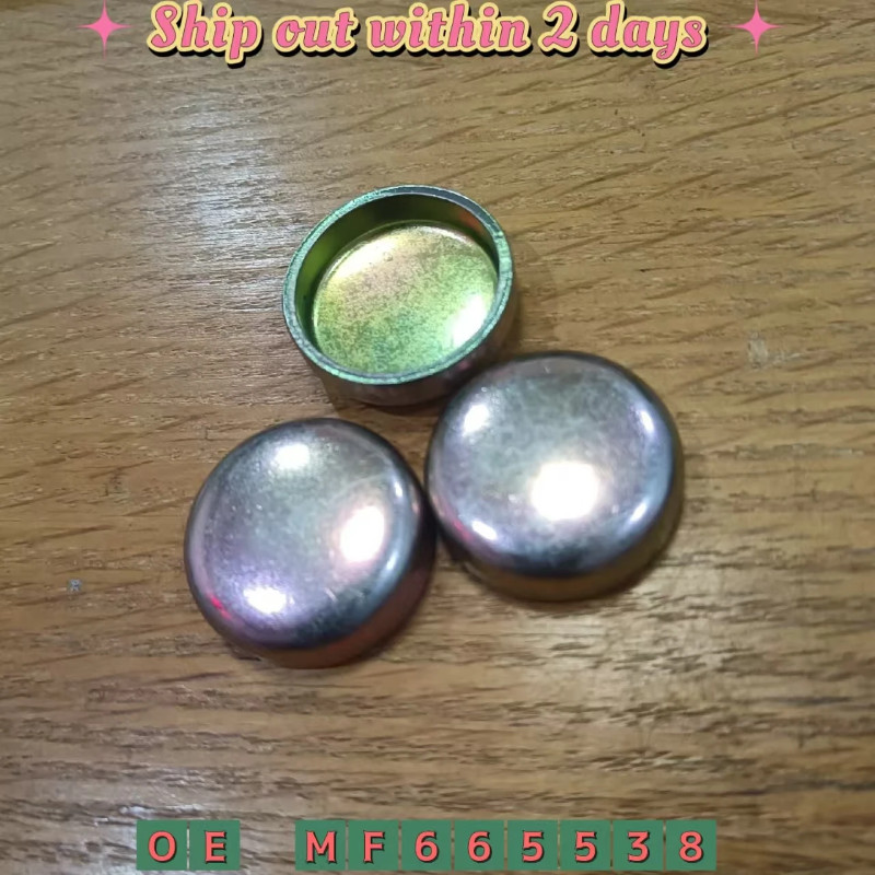 Cylinder Block Cover & Expansion Plug MF665538 For Mitsubishi ECLIPSE SPYDER ENDEAVOR L200 3000GT