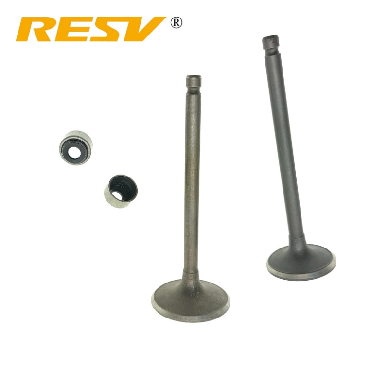 RESV for Yamaha XT225 TW200 TW225 Linhai 260 300 EcoPower 260 AG200 200 260 300 520 Valve Intake Ex