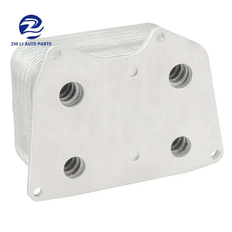 077117021P Engine Oil Cooler Kit For VW Touareg 7LA 7L6 7L7 2002-2010