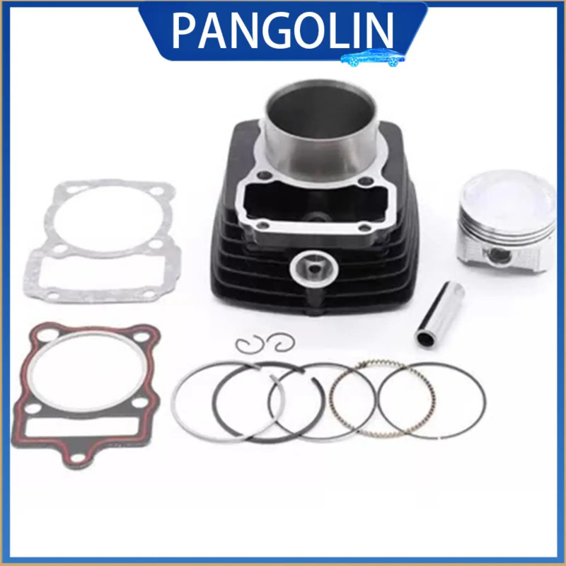 PANGOLIN Cylinder Kit Steel for Italika DM200 SPORT 2019 - 2021/DM 200 2014 - 2024（67mm) Motorcycle