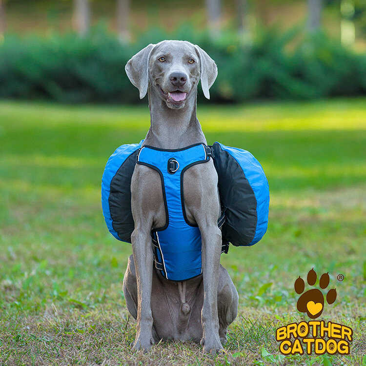 Pet Self-Backpack Dog Chest Backpack Outing Bag Dog Tummy Bag Nylon Waterproof Outing Dog Backpack
