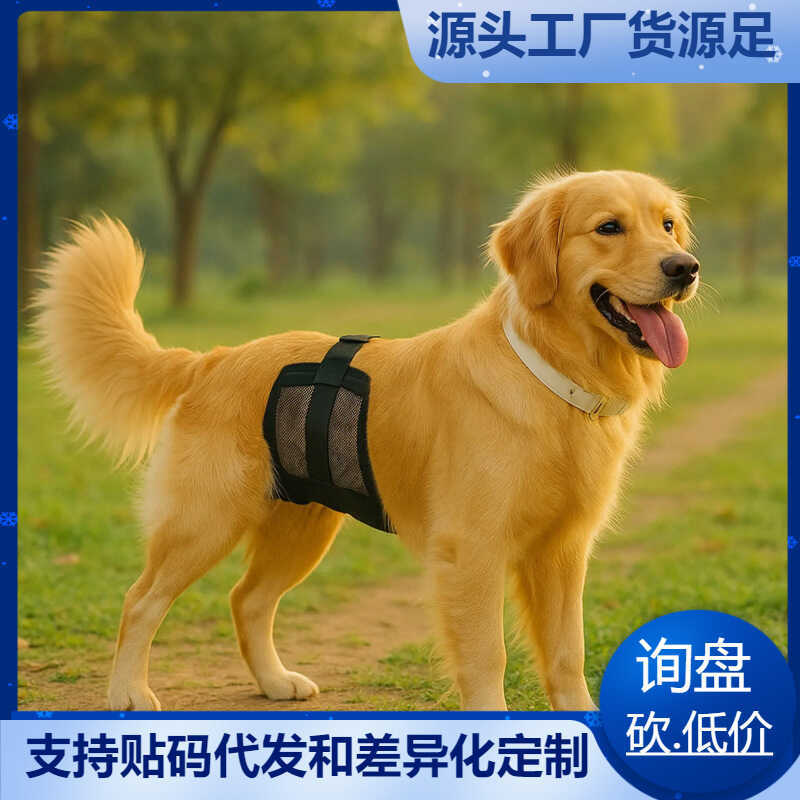 สินค้าใหม่ อุปกรณ์สัตว์เลี้ยง กางเกงสรีรวิทยาสุนัข กางเกงสรีรวิทยาสุนัขชาย Anti-Harassment Polite กา