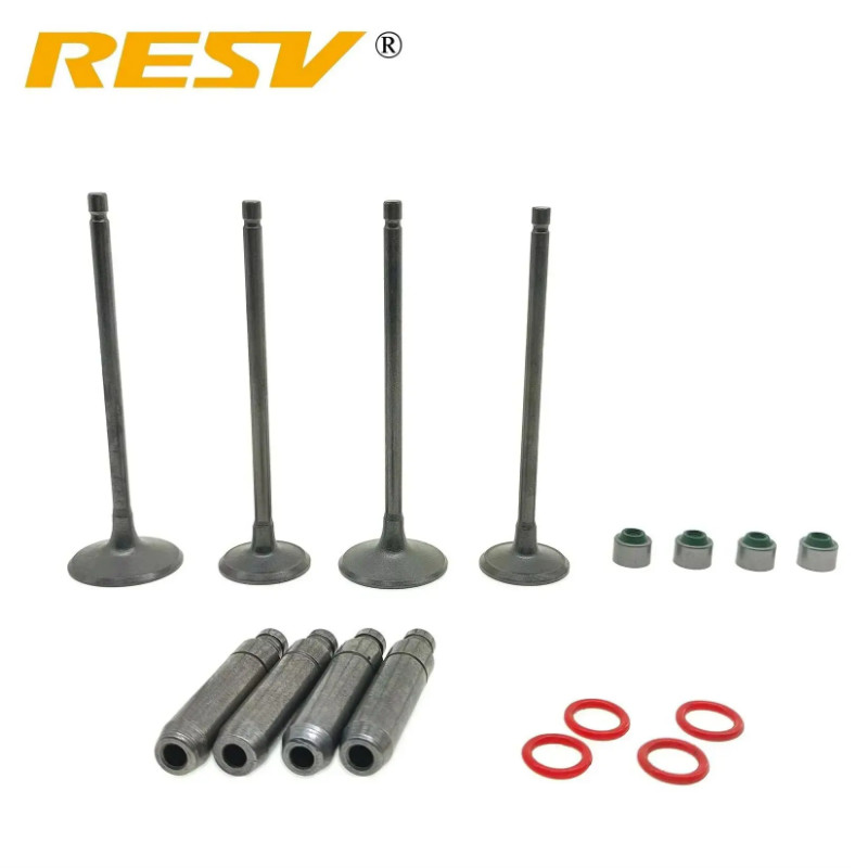 RESV for Bajaj Pulsar NS200 200NS AS200 RS200 Rouser NS AS RS 200 Valve Intake Exhaust Stem Guide P