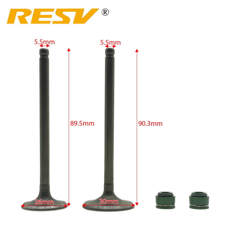 RESV for Suzuki GN125 GZ125 GS125 DR125 QJ125 HJ125 GN GZ GS DR QJ HJ 125cc 125 CC Valve Intake Exh