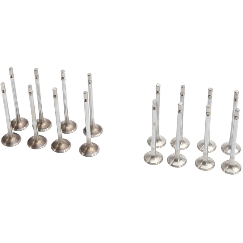 Exhaust Valve Set 03L109601 03L109611 Fit For TDl 2.0T VW Tiguan Touran Audi Seat Skoda Car Engines