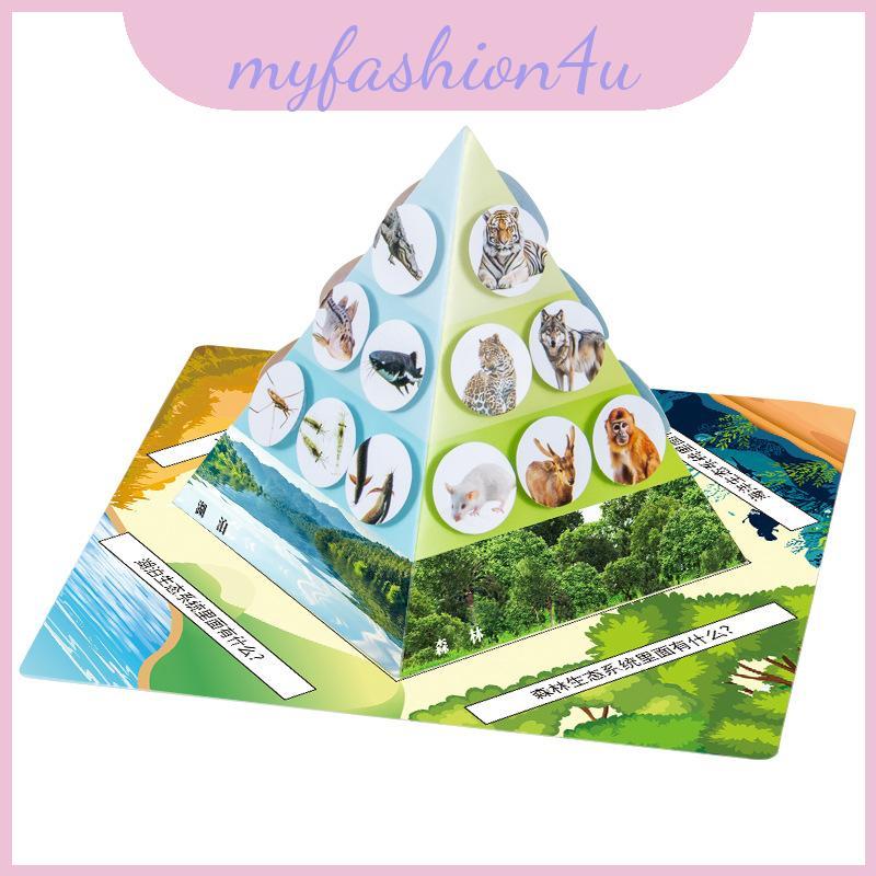 Chain Food Paper Pyramid Model Assembly Material Set Children Puzzle Toys For Educational Exploratio