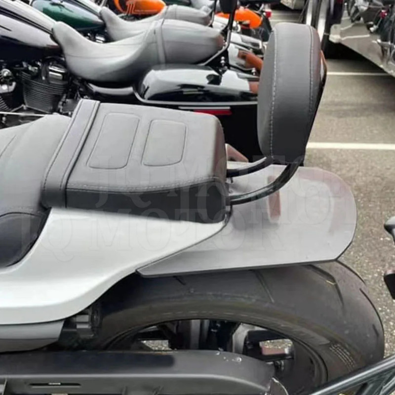 FOR Sportster S 1250 RH1250 RH 1250 S RH1250S 2021 2022 Motorcycle Driver Passenger Pillion Rear Ba