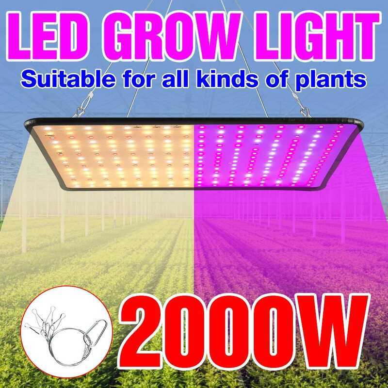 C LED Plant Grow Light Full Spectquantum Board Phytol Indoor Hydroponics Greenhouse Tent Grow Box W