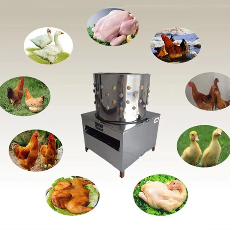 New Poultry Plucker Machine 220v Quail Bird Hair Removal Plucking Machine Poultry Plucker Birds Epi