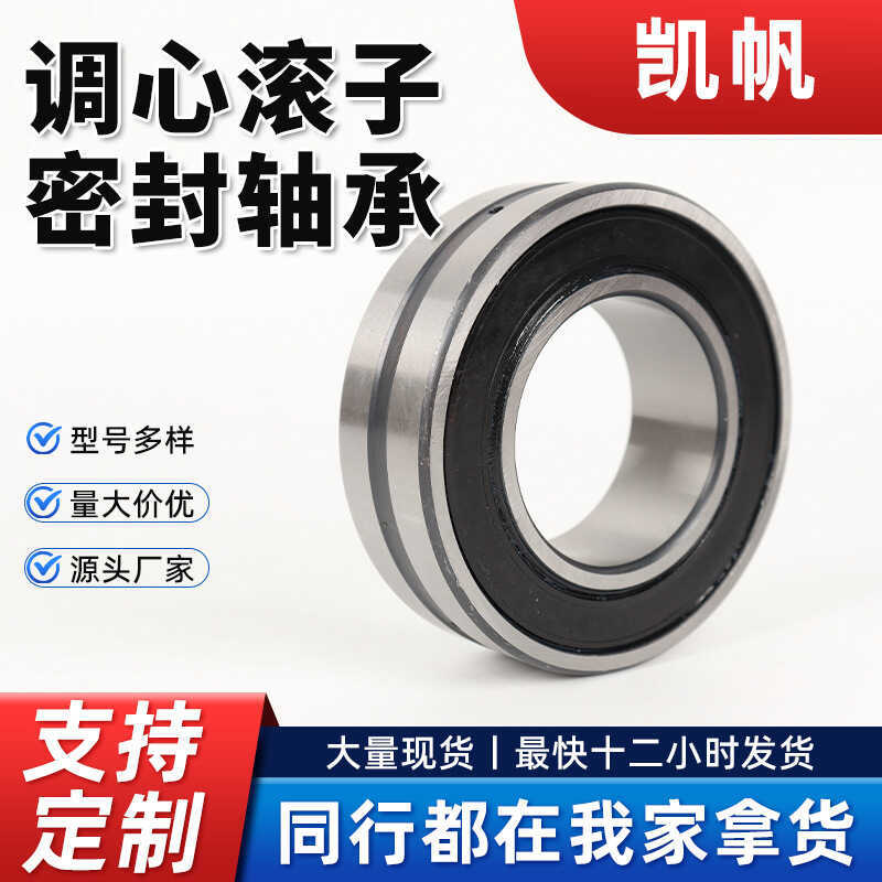 Adjustable Roller Sealed Bearing BS2-214 BS2-2115 BS2-2216 BS2-2217 BS2218