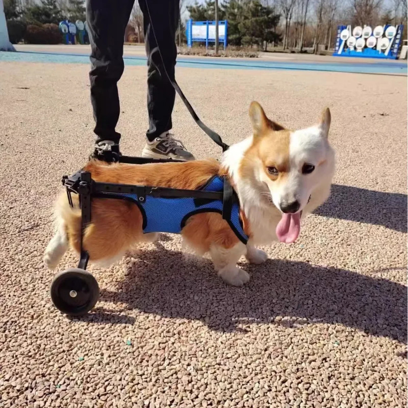 Dog Wheelchair Hind Limb Paralyzed Pet Scooter Disabled Dog Hind Leg Assist Cat Teddy Large Small D